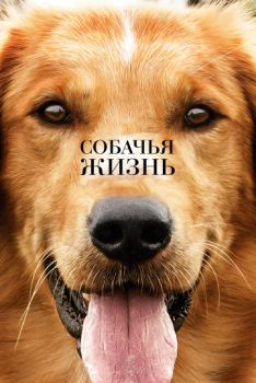 Постер к фильму Собачья жизнь